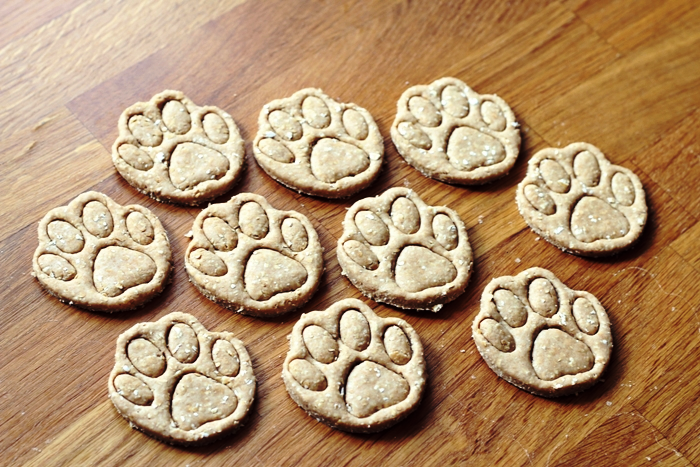 Leckerlies mit Thunfisch